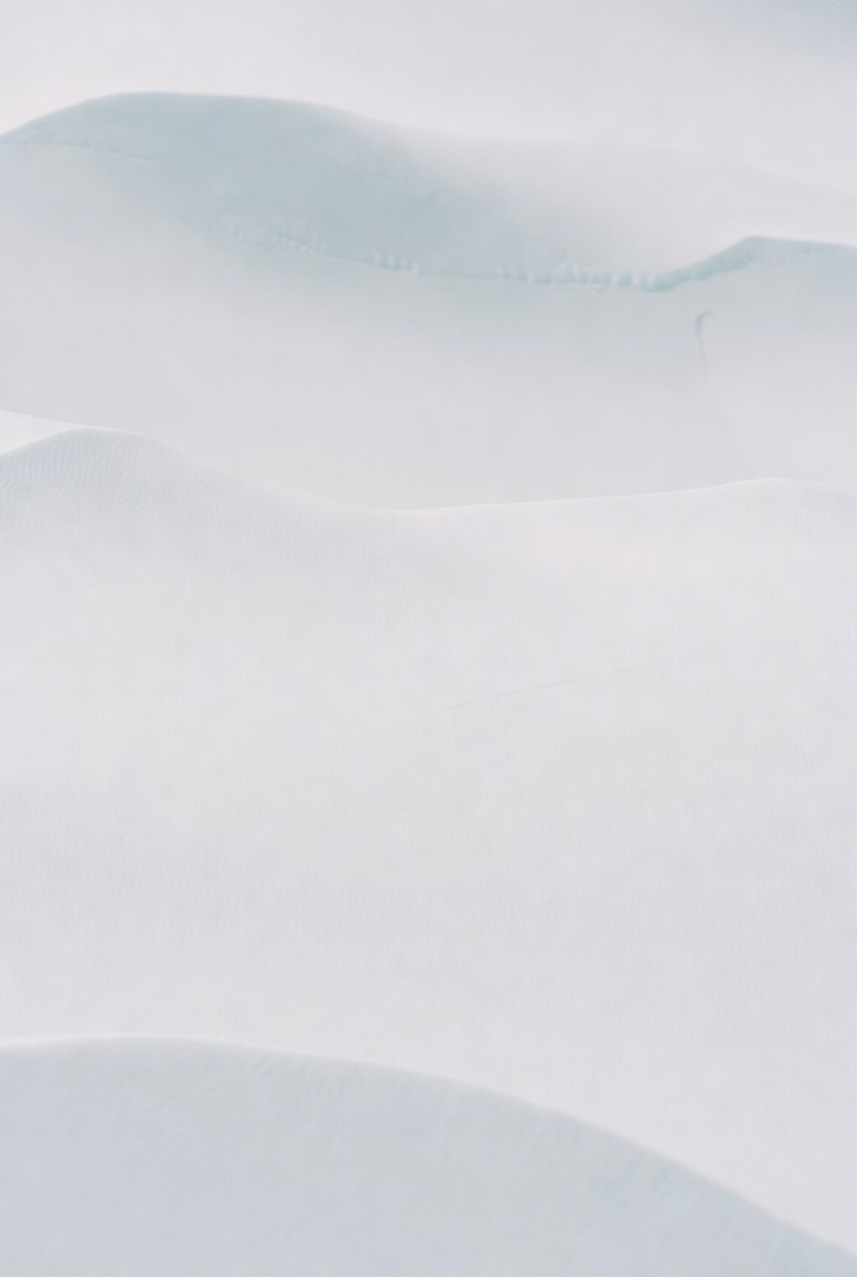 Thông tin pháp lý và quản trị của Thanh Tam Foundation.