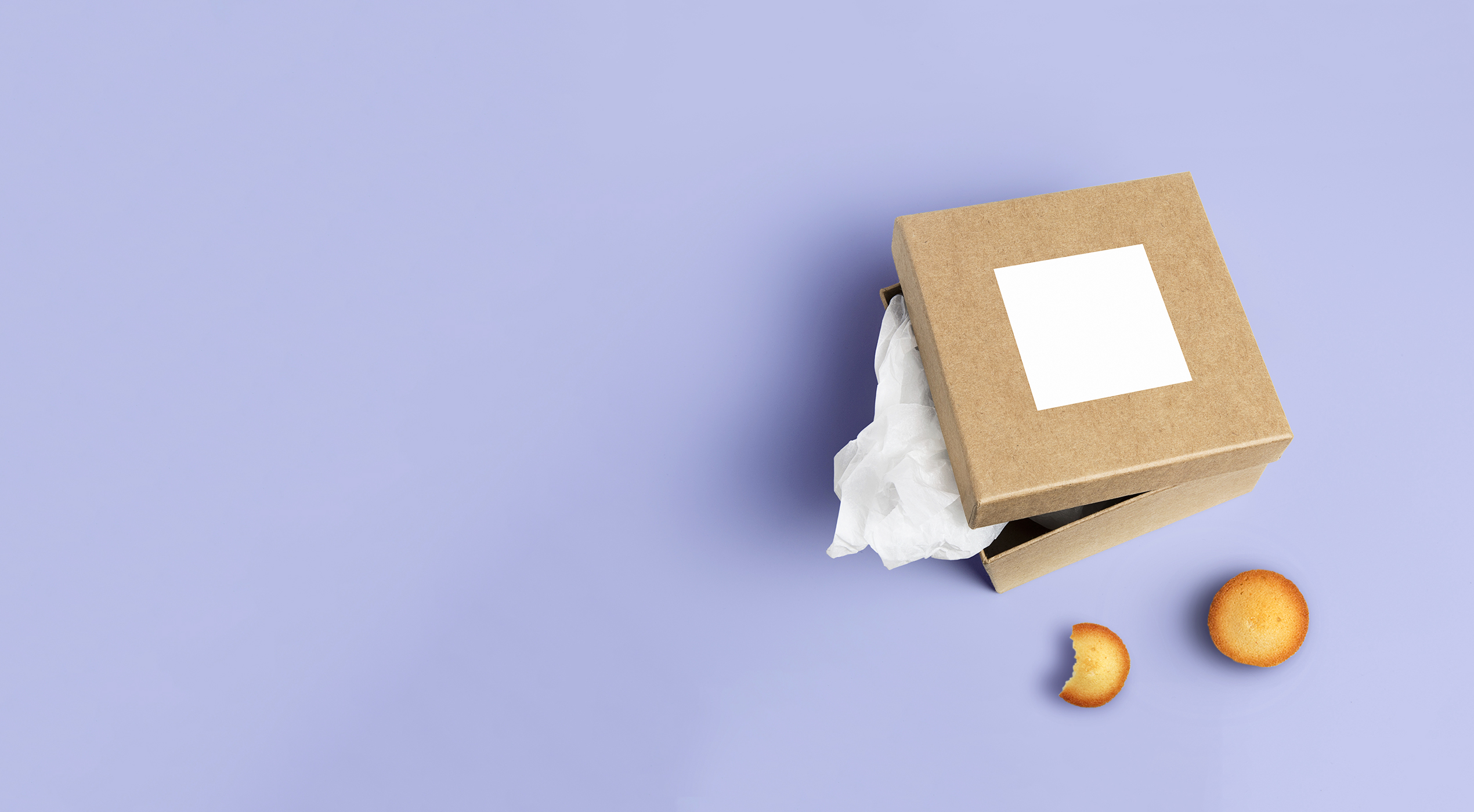 Danh mục dự án chiến lược của Thanh Tam Foundation.